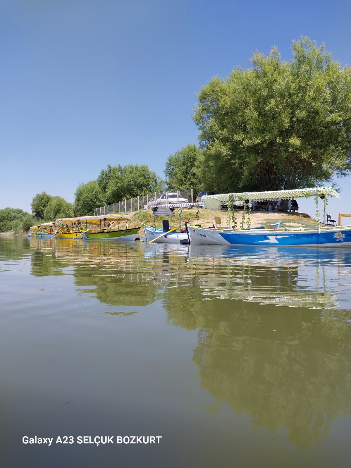 Kuş fotoğrafı - Işıklı Gölü