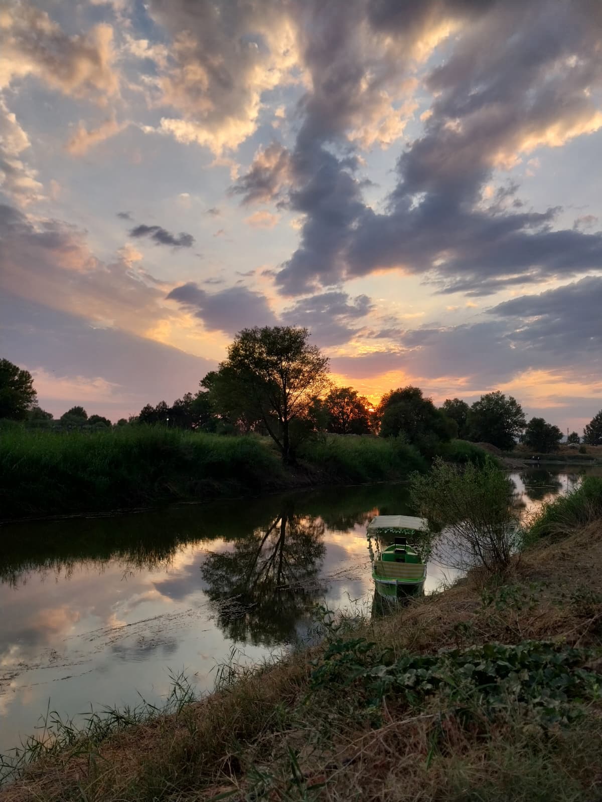 Işıklıgöl nilüfer fotoğrafı